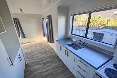 Photo of property in 77 Massey Street, Frankton, Hamilton, 3204