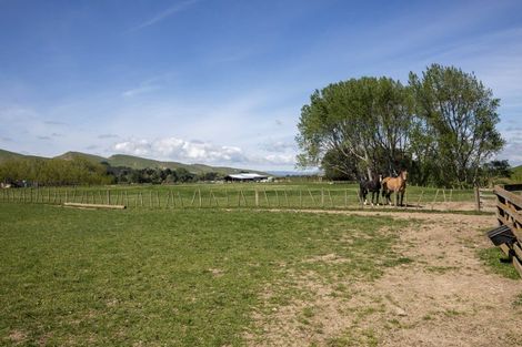 Photo of property in 314 Rakaiatai Road, Ormondville, Dannevirke, 4977