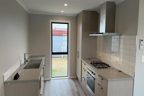 Photo of property in 111 Hinemoa Street, Levin, 5510