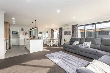 Photo of property in 19 Broadway Parade, Rolleston, 7615