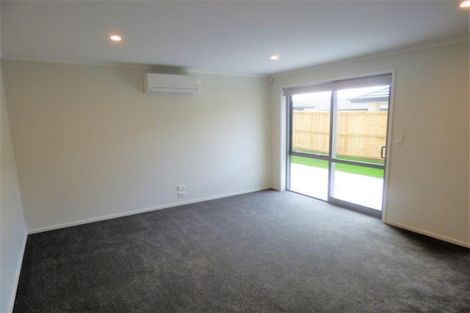 Photo of property in 41 Mcnally Road, Pukekohe, 2120