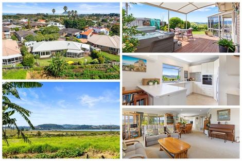 Photo of property in 41 Plateau Heights, Mount Maunganui, 3116