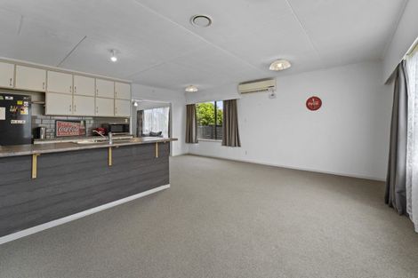 Photo of property in 41 Kennedy Drive, Levin, 5510