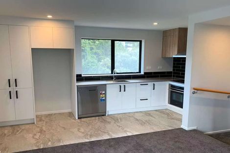 Photo of property in 66 Makamaka Lane, Albany Heights, Auckland, 0632