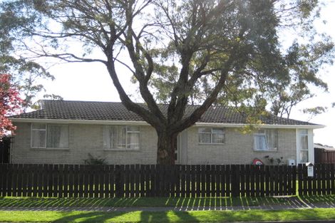 Photo of property in 61 Rosser Street, Huntly, 3700