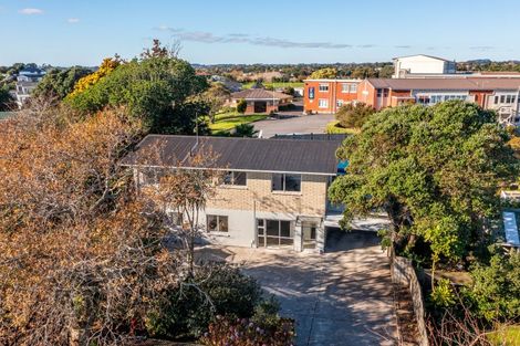 Photo of property in 219a Tukapa Street, Westown, New Plymouth, 4310