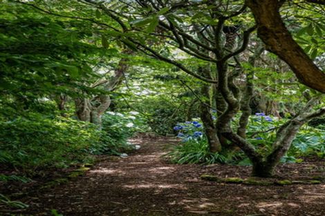 Photo of property in 190 East Road, Stratford, 4392