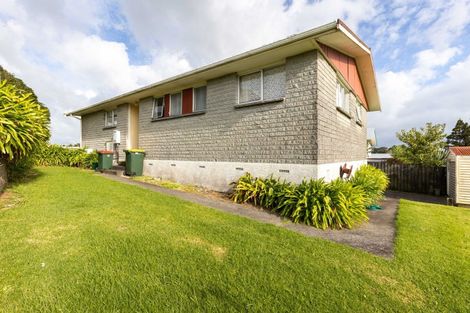 Photo of property in 32 Endeavour Street, Marfell, New Plymouth, 4310