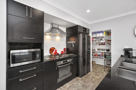 Photo of property in 16 Geoff Geering Drive, Netherby, Ashburton, 7700
