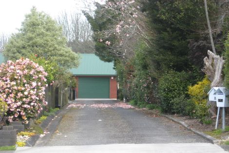 Photo of property in 17a Regan Street, Stratford, 4332