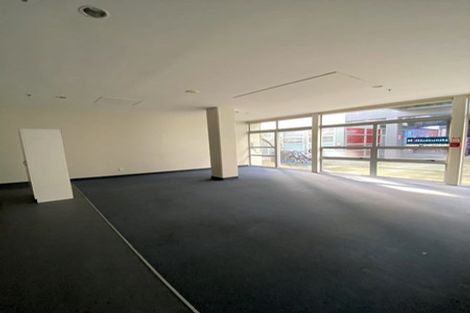 Photo of property in Hanson House, 27u2 Hanson Street, Mount Cook, Wellington, 6021