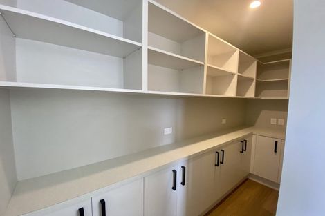 Photo of property in 17 Feltham Street, Richmond, 7020