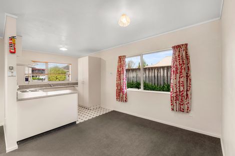 Photo of property in 195 Dey Street, Hamilton East, Hamilton, 3216