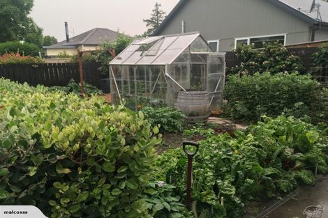 Photo of property in 56 Erris Street, Cromwell, 9310