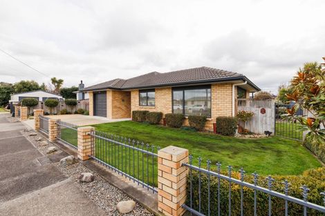 Photo of property in 1a Haggitt Street, Feilding, 4702