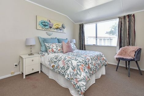 Photo of property in 225 Finlayson Avenue, Clendon Park, Auckland, 2103
