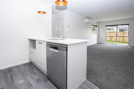 Photo of property in 18u4 Rothwell Street, Dinsdale, Hamilton, 3204