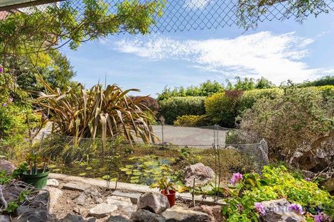 Photo of property in 185 Hackthorne Road, Cashmere, Christchurch, 8022