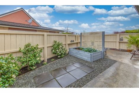 Photo of property in 3 Reeves Road, Rangiora, 7400