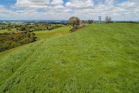 Photo of property in 380 Gleeson Road, Pollok, 2683