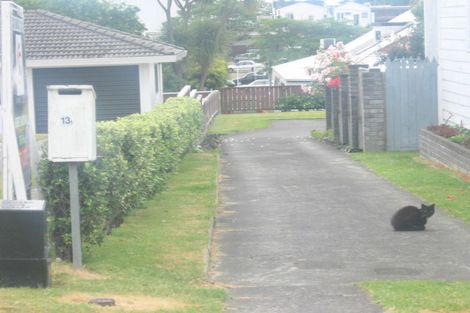 Photo of property in 13b Stewart Street, Te Puke, 3119