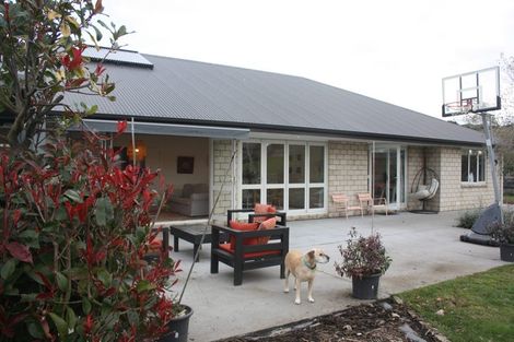 Photo of property in 102 Maungakawa Road, Cambridge, 3496