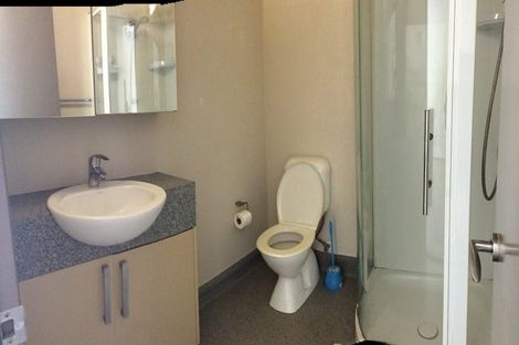 Photo of property in Dual Apartments, 303/142u Vivian Street, Te Aro, Wellington, 6011