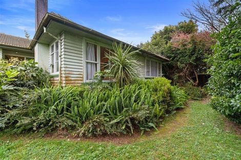 Photo of property in 17 Fend Street, Chartwell, Hamilton, 3210