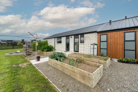 Photo of property in 19 Carex Grove, Foxton Beach, Foxton, 4815