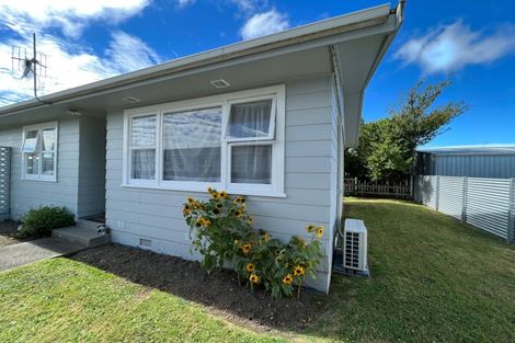 Photo of property in 4/100 Pitt Street, Palmerston North, 4410