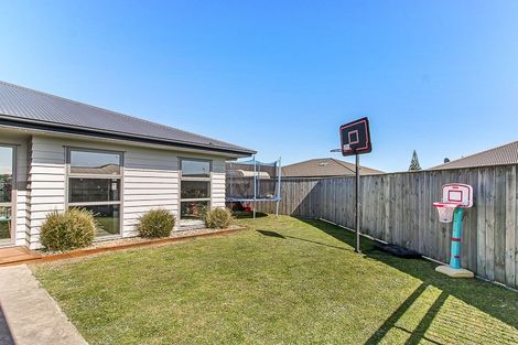 Photo of property in 17 Story Street, Foxton Beach, Foxton, 4815