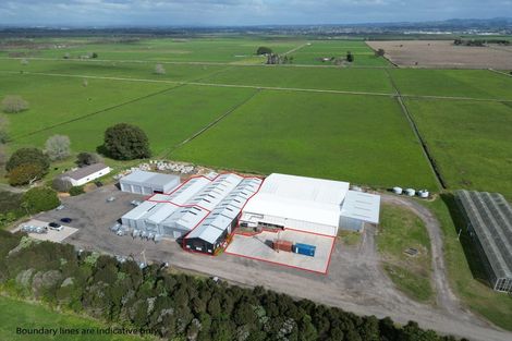 Photo of property in 339 Bell Road, Papamoa, Te Puke, 3187