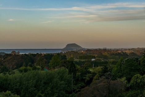 Photo of property in 140a Minden Road, Minden, Tauranga, 3176