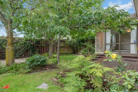 Photo of property in 60d Mclauchlan Street, Springlands, Blenheim, 7201