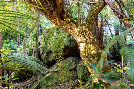 Photo of property in 75 Our Road, Whangarei Heads, Whangarei, 0174