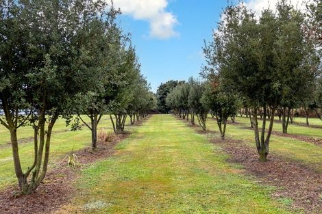 Photo of property in 7 Wallingford Road, Temuka, 7920
