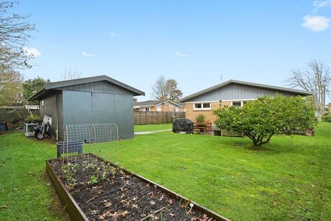 Photo of property in 15 Casper Street, Fairfield, Hamilton, 3214