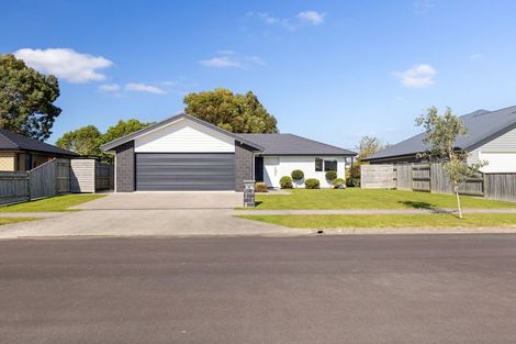 Photo of property in 29 Monarch Drive, Ashhurst, 4810