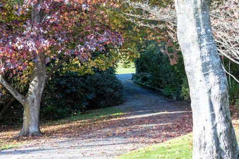 Photo of property in 33 Ribbonwood Road, Geraldine Downs, Geraldine, 7991