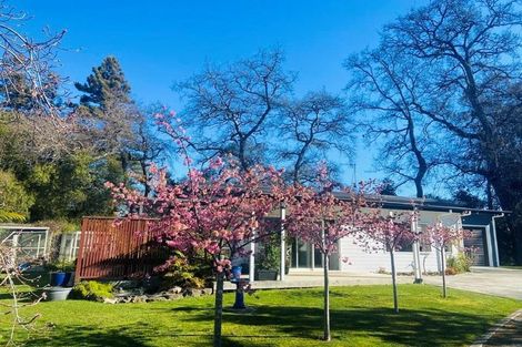 Photo of property in 10a Shelton Place, Marton, 4710