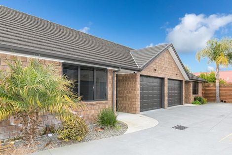 Photo of property in 28u9 Fifth Avenue, Enderley, Hamilton, 3214