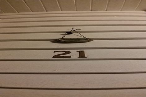 Photo of property in 21 Laura Avenue, Brooklyn, Wellington, 6021