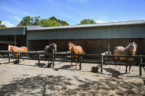 Photo of property in 509 Marychurch Road, Matangi, Hamilton, 3284