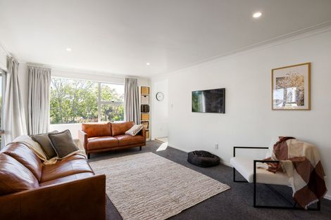 Photo of property in 7 Exeter Street, Glenview, Hamilton, 3206