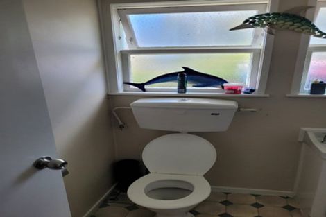 Photo of property in 19 Titchener Street, New Lynn, Auckland, 0600