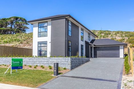 Photo of property in 117 Queen Charlotte Drive, Aotea, Porirua, 5024