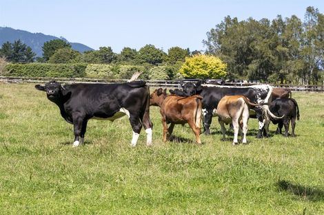 Photo of property in 45 Otaki Gorge Road, Hautere, Otaki, 5582