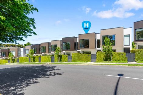 Photo of property in 11/12 Westmorland Rise, Bethlehem, Tauranga, 3110