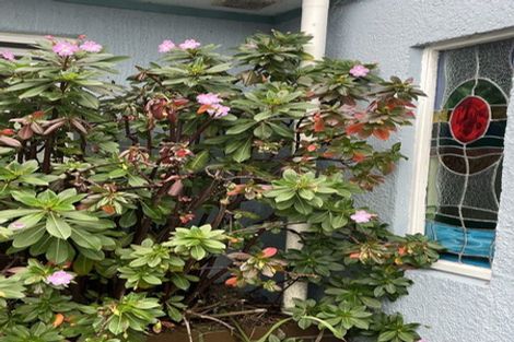 Photo of property in 19 The Bollard, Whitby, Porirua, 5024