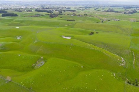 Photo of property in 234 Sandon Road, Feilding, 4779